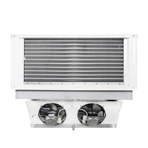 MCp20_1
