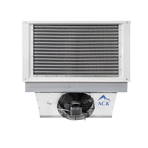 MC31p_1