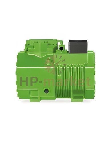 двухпоршневой