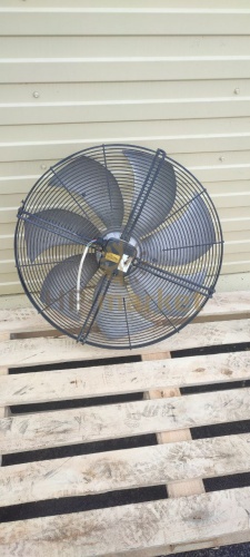 photo_2022-04-27_17-37-52