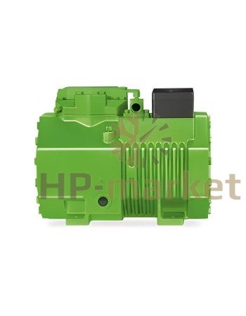 двухпоршневой